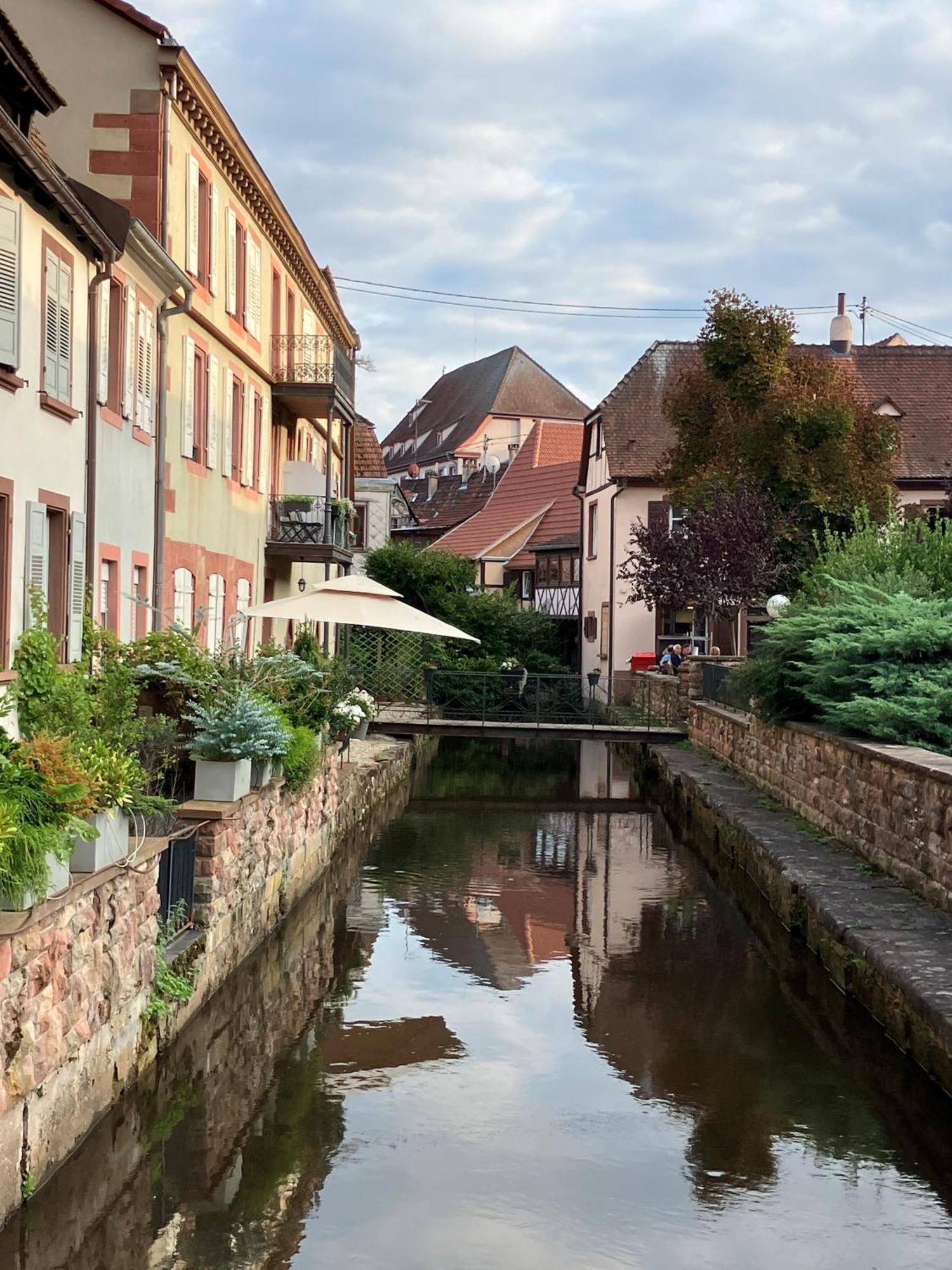 Amelie No 3 Hotel & Appartements Schweigen-Rechtenbach Luaran gambar